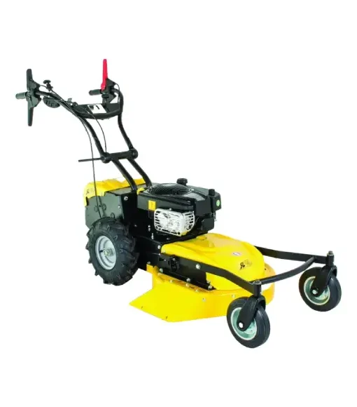Roques et Lecoeur RL210B Vierrad-Rasenmäher mit Briggs & Stratton Motor
