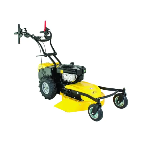 Roques et Lecoeur RL210B Vierrad-Rasenmäher mit Briggs & Stratton Motor