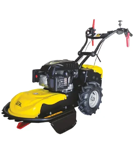 Roques et Lecoeur RL460B Schlegelmäher mit Briggs & Stratton Motor