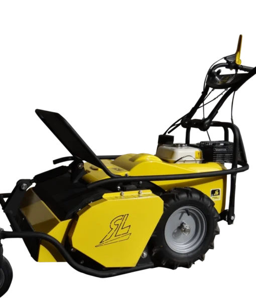 Alternative view of Roques et Lecoeur RL460B Schlegelmäher mit Briggs & Stratton Motor