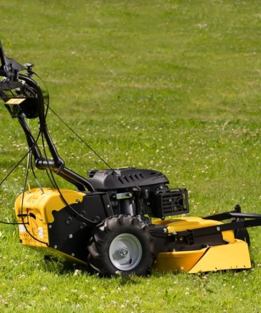 Roques et Lecoeur RL210B Vierrad-Rasenmäher mit Briggs & Stratton Motor – Image 4