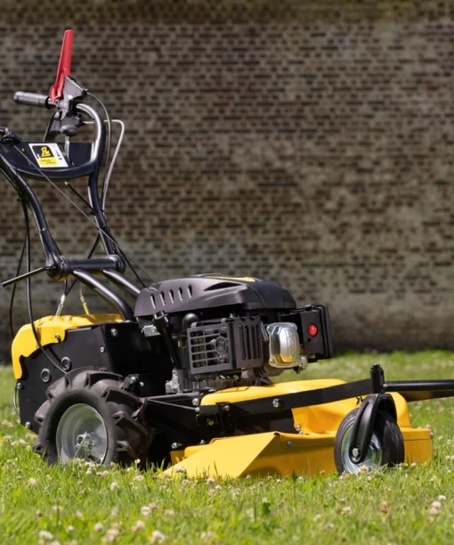 Roques et Lecoeur RL210B Vierrad-Rasenmäher mit Briggs & Stratton Motor – Image 3