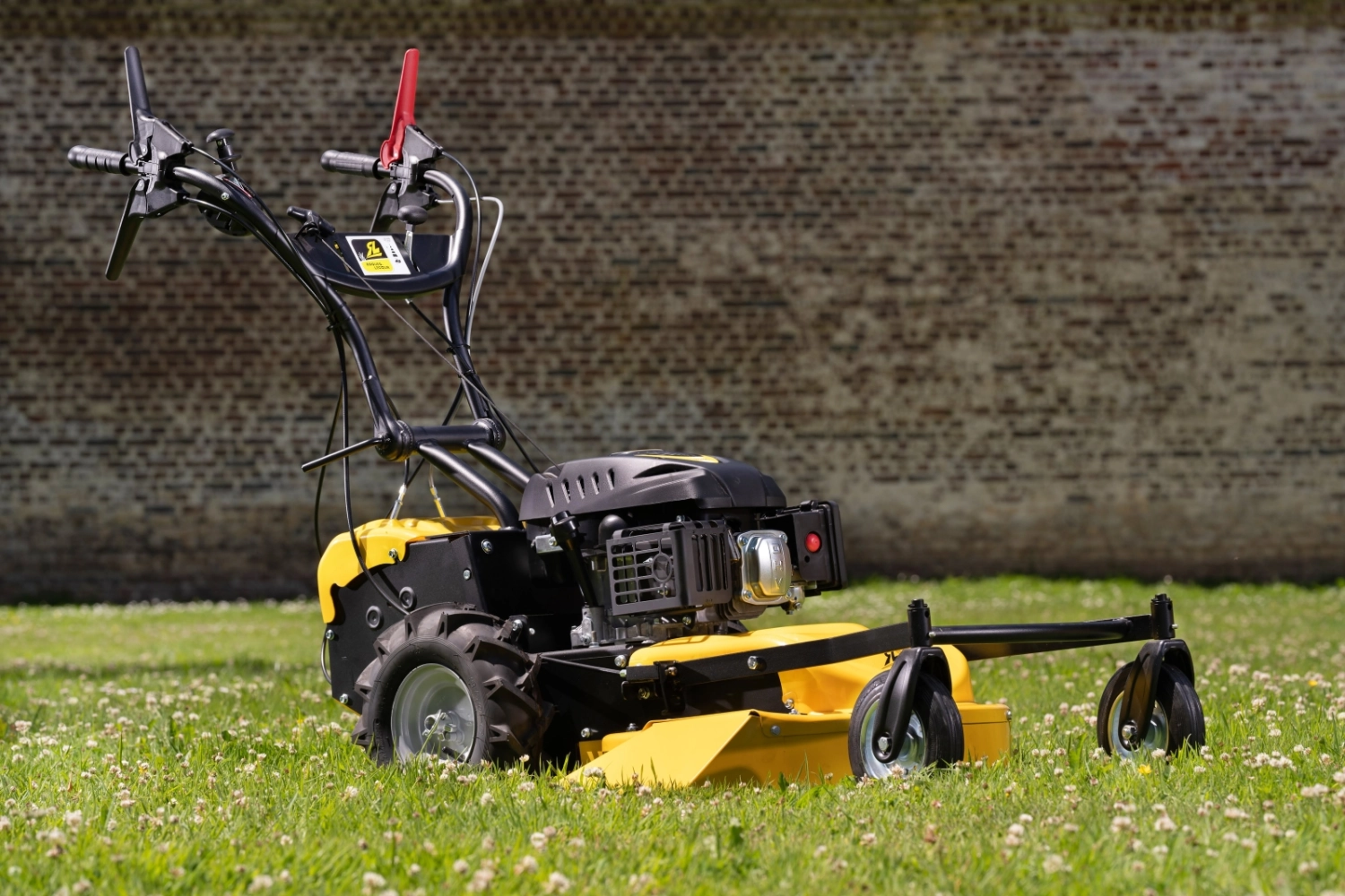 Roques et Lecoeur RL210B Vierrad-Rasenmäher mit Briggs & Stratton Motor – Image 3
