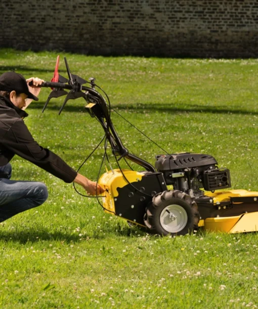 Roques et Lecoeur RL210B Vierrad-Rasenmäher mit Briggs & Stratton Motor – Image 5
